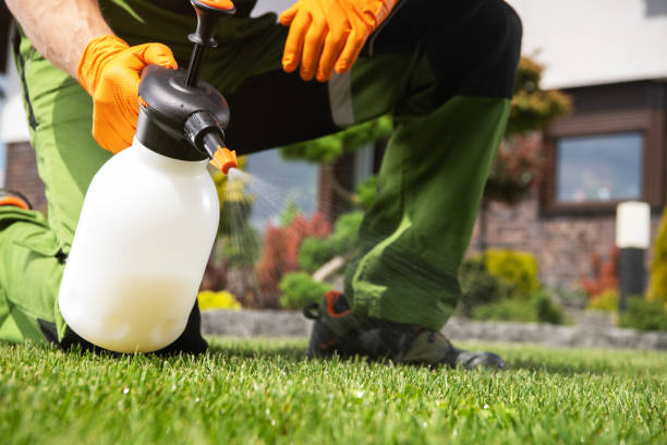 Best Mosquito Control Services  in Seven Mile, AZ
