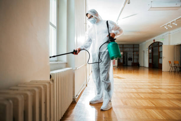 Best Flea Control Services  in Seven Mile, AZ