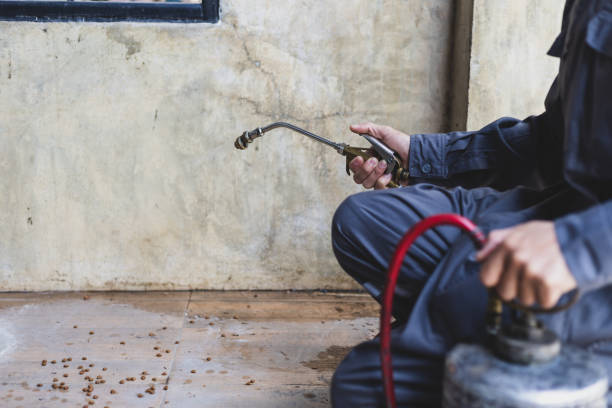 Best Best Pest Control Companies  in Seven Mile, AZ